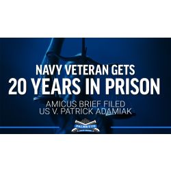 20 Years in Prison for Inert and "Dummy" Parts - Amicus Brief Filed