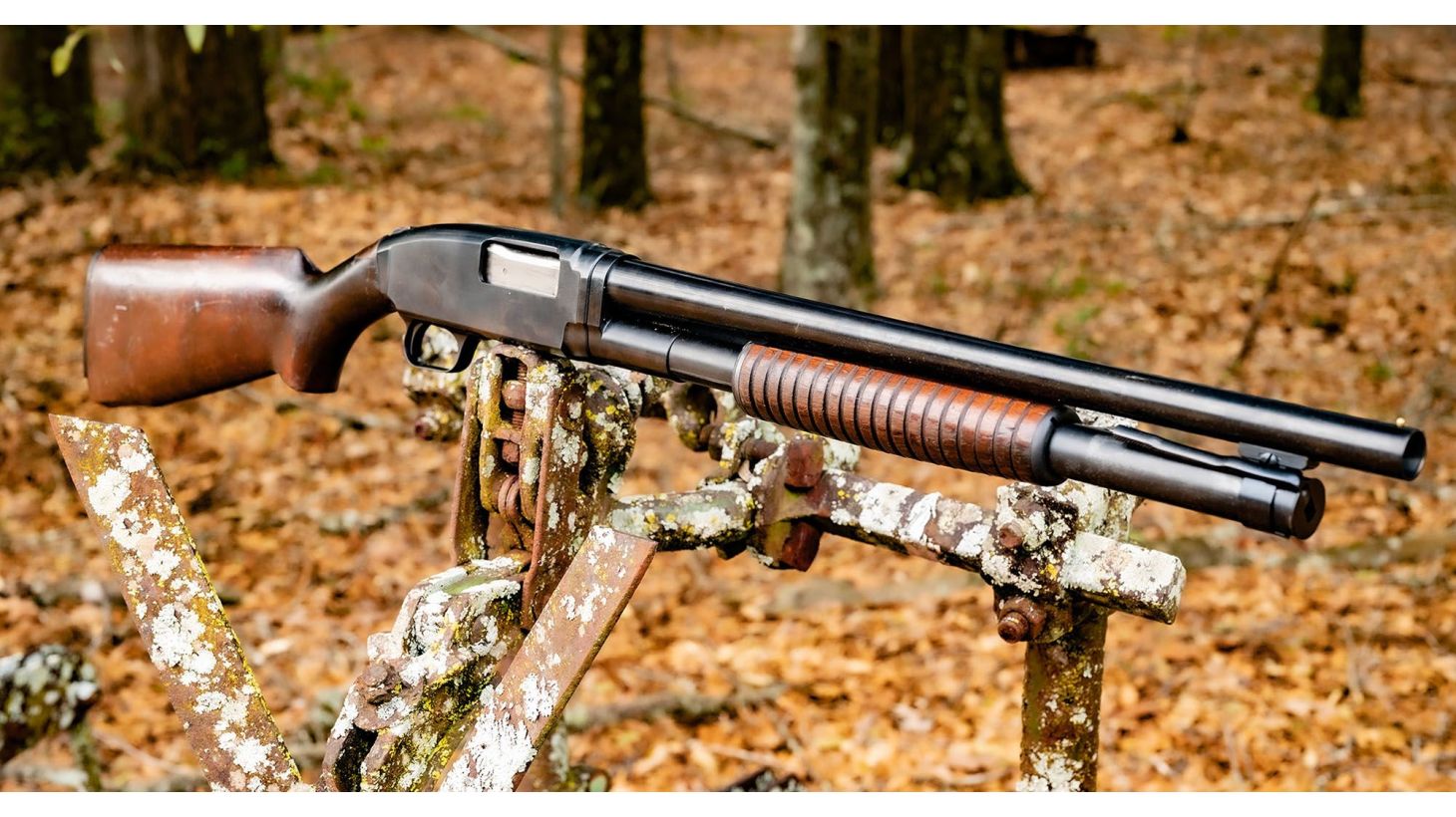Best Self Defense Shotgun