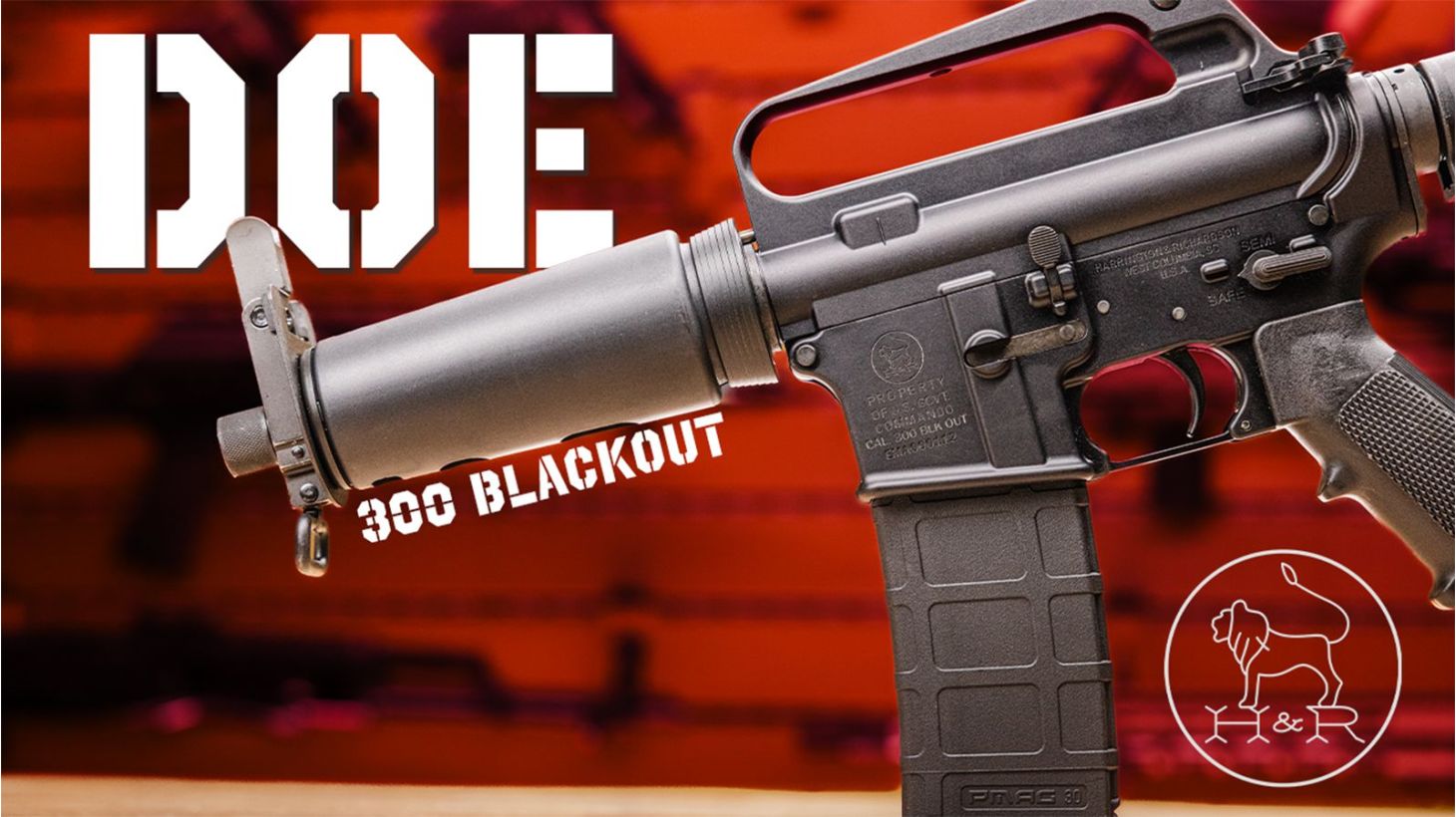 The H&R DOE .300 Blackout - Everything You Need to Know