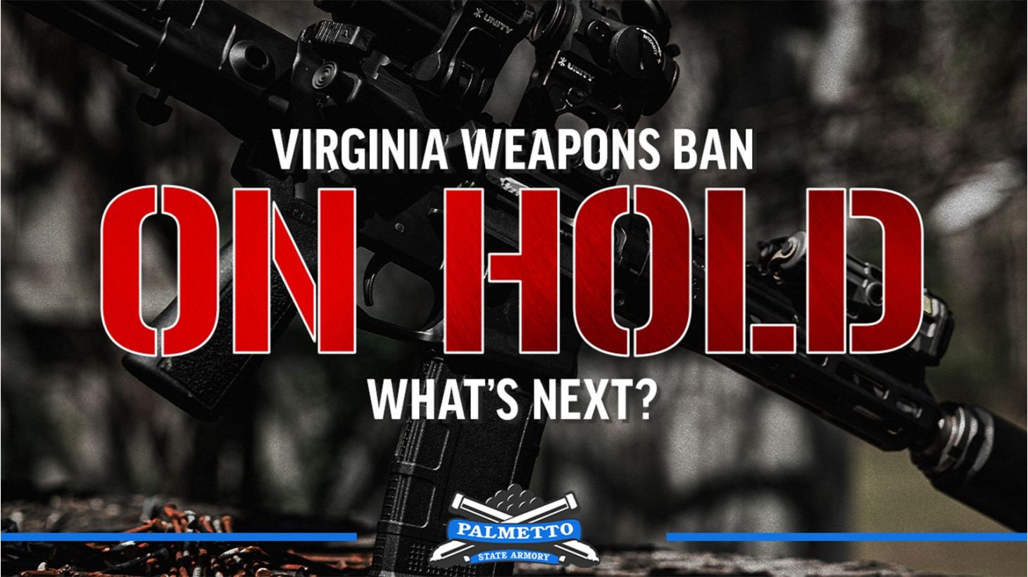 BIG NEWS: Virginia Weapons Ban ON HOLD - What's Next? Main blog image