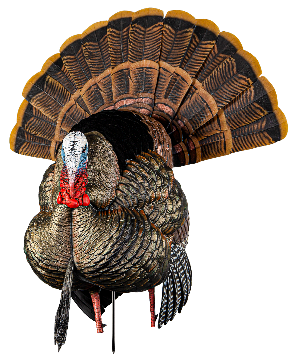 Turkey
