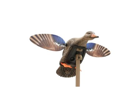 Mojo Outdoors Elite Mini Mallard Hen Decoy