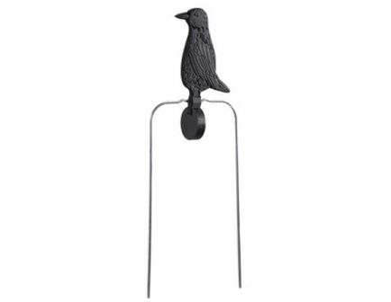 Champion SINGLE CROW BLK 40949