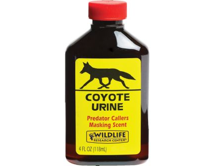 Wildlife Research Coyote Urine Hunting Scent, 4 fl oz Amber Bottle