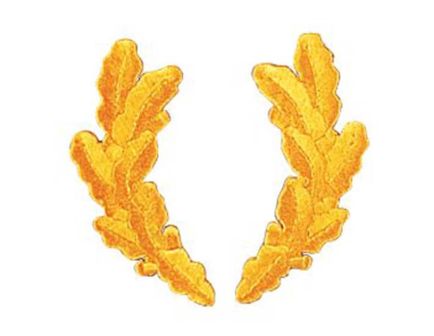 Scrambled Eggs Military Patch
