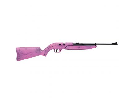 Crosman Pumpmaster 760 .177 Bolt Action Air Rifle, Pink - 760P