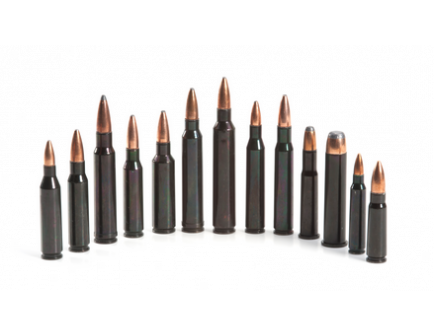 Traditions Rifle Training Cartridges - ATR762RUS
