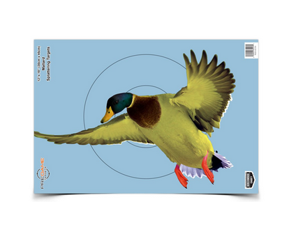 Birchwood Casey Pregame target 12x18  Duck 8EA - 35407