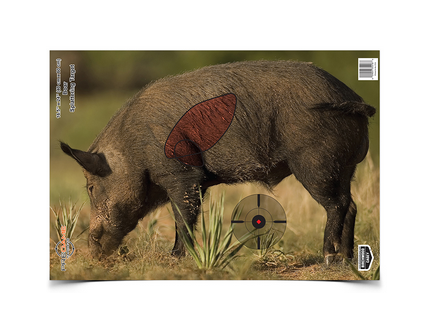 Birchwood Casey  Pregame Target 16.5x24 Boar 3EA - 35408