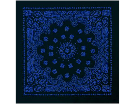 Rothco Trainmen Paisley Bandana - 22 X 22, Black - Blue