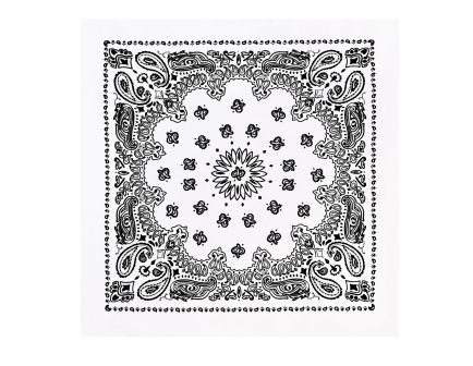 Rothco Trainmen Paisley Bandana - 22 X 22, White