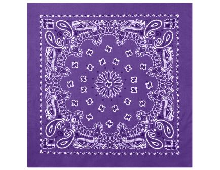 Rothco Trainmen Paisley Bandana - 22 X 22, Purple
