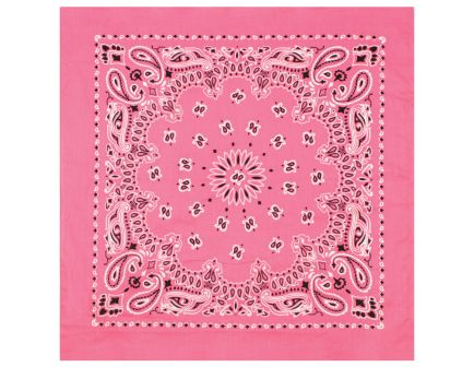 Rothco Trainmen Paisley Bandana - 22 X 22, Pink