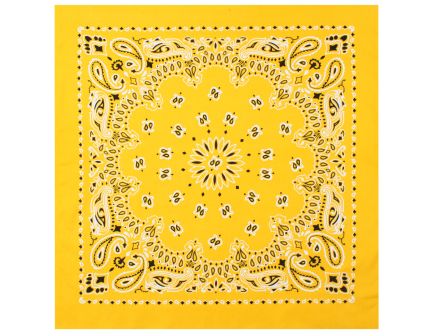 Rothco Trainmen Paisley Bandana - 22 X 22, Yellow