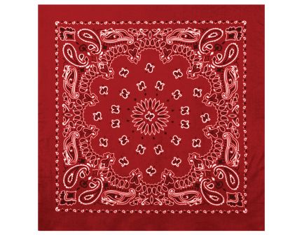 Rothco Trainmen Paisley Bandana - 22 X 22, Red - White