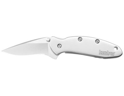 Kershaw Chive Wharncliffe Folder Knife, 1.9" - K1600