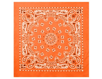 Rothco Trainmen Paisley Bandana - 22 X 22, Orange