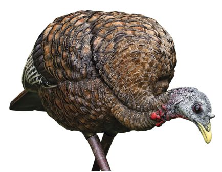 Avian-X LCD Feeder Turkey Decoy