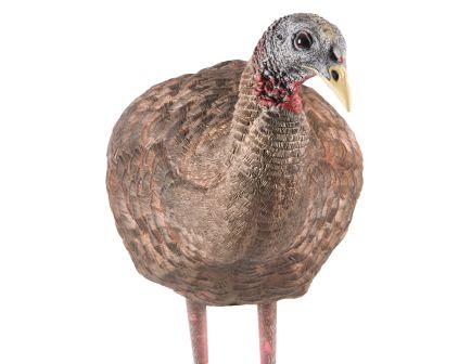 Avian-X LCD Breeder Turkey Decoy