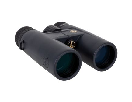 Leupold BX-1 McKenzie HD 10x42mm Binoculars, Shadow Gray