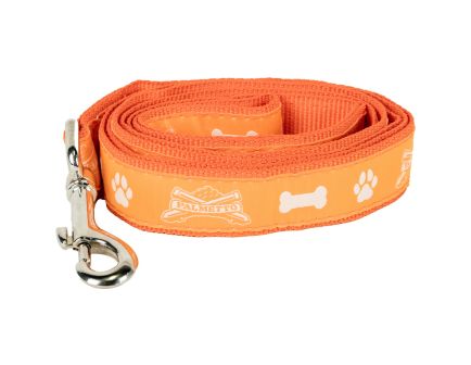 PSA Custom Woven Pet Leash - Orange