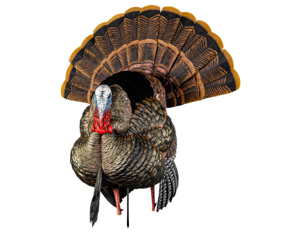Avian-X HDR Strutter Turkey Decoy