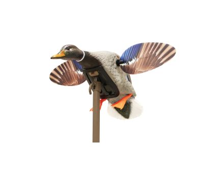 Mojo Outdoors Elite Mini Mallard Drake Decoy