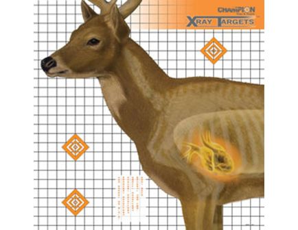 Champion DEER TARGET 25X25(6/PK) 45902