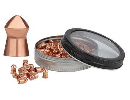 Gamo Outdoor Bullet PBA .22 14.4 gr Domed Tip Pellet, 100/pack - 632272154