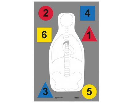 Action Target Law Enforcement 23" x 35" Silhouette Multi-Purpose Anatomy and Command Training Target, 100/box - DT-ANTQA-100