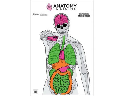 Action Target 23" x 35" Silhouette/Vital Anatomy Training Target, 100/box - GS-ANATOMY-100