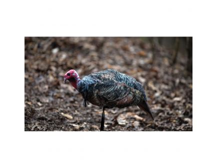 Montana Decoy Jake Purr-Fect 3D Jake Decoy, Wild Turkey - 0061