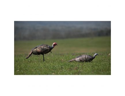 Montana Decoy Purr-Fect Pair Combination 3D Decoy, Wild Turkey - 0062