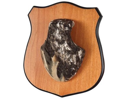 Allen 16.4" x 10.8" x 3.4" Mounting Plaque, Black - 569
