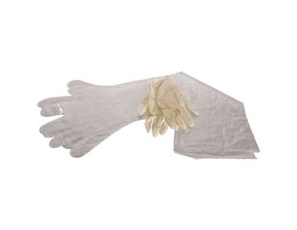 Allen Field Dressing Gloves, Clear, 6/pack - 516