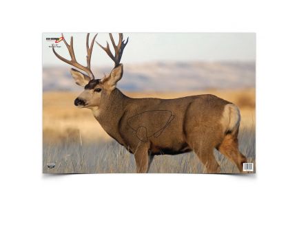 Birchwood Casey EZE-Scorer 23" x 35" Mule Deer Target, 2/pack - 37482