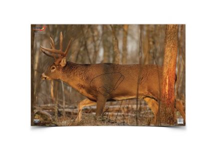 Birchwood Casey EZE-Scorer 23" x 35" Whitetail Deer Target, 2/pack - 37481