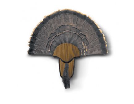 Hunter's Specialties Wild Turkey Tail and Beard Mounting Kit, Brown - HS-STR-00849