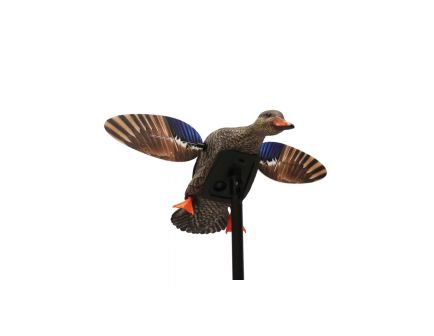 Mojo Outdoors Elite Series Mini Hen Decoy, Mallard - HW2471