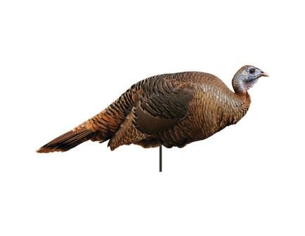 Montana Decoy Spring Fling Hen Decoy, Wild Turkey - 0042