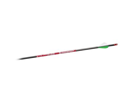 Bloodsport Arrows Hunter Extreme 31" 10.10 GPI 350 Spine Arrow Pack of 6