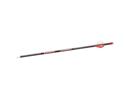 Bloodsport Arrows Judgement 31" 10.90 GPI 300 Spine Arrow Pack of 6