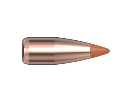Hornady NTX .20 Cal CJPT Rifle Bullet, 24 gr 0.204" 100rds