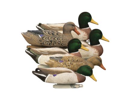 Higdon Outdoors Magnum Mallard 6-Pack Duck Decoy