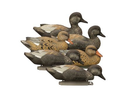 Higdon Outdoors Standard Gadwall 6-Pack Duck Decoy