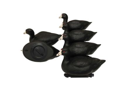 Mojo Outdoors 6-Pack Coot Confidence Decoy, Black