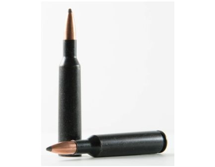 Traditions 6mm Remington Rifle Training Cartridges ATR6MMREM