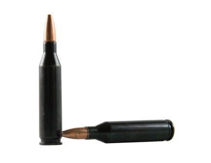 Traditions .243 Winchester Rifle Training Cartridges ATR243WIN